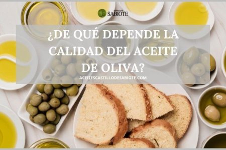 ¿De qué depende la calidad del aceite de oliva?